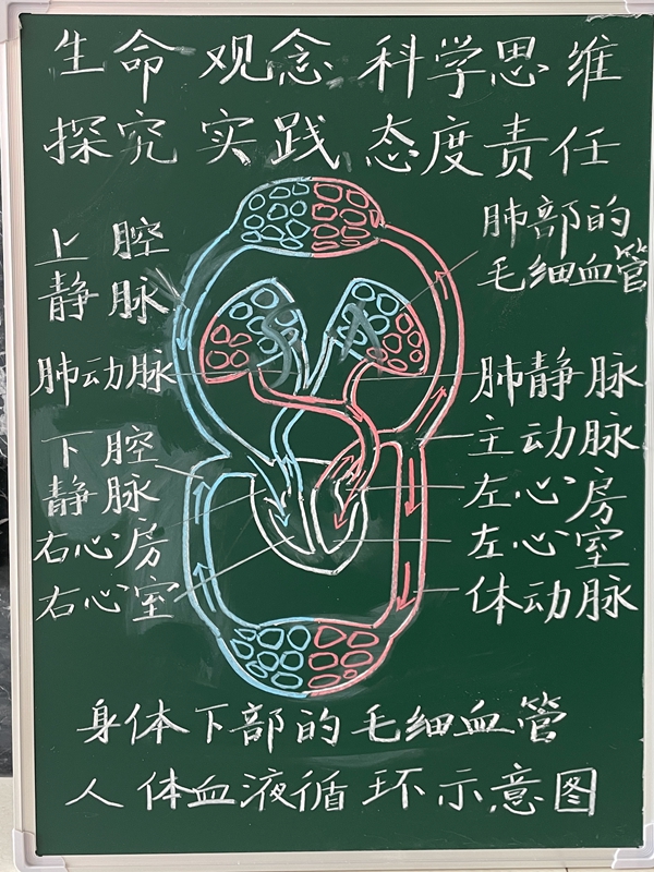 c196d4e2e9214bf5987803a9ed814444.jpg