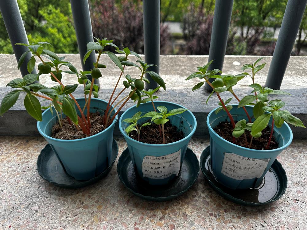 531a4f74f9684d61893906b2e893cf0e.jpg 531a4f74f9684d61893906b2e893cf0e.jpg