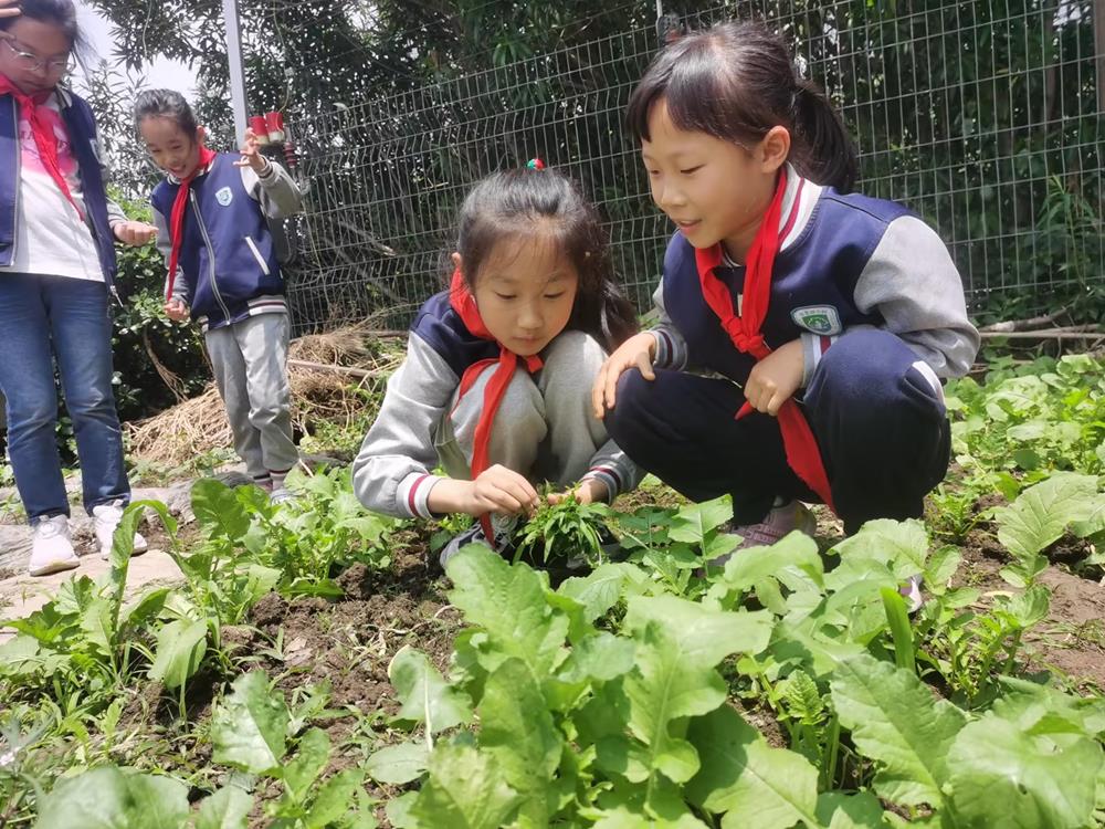 99547f11fffa47ef868c64fc809f5ba8.jpg 99547f11fffa47ef868c64fc809f5ba8.jpg