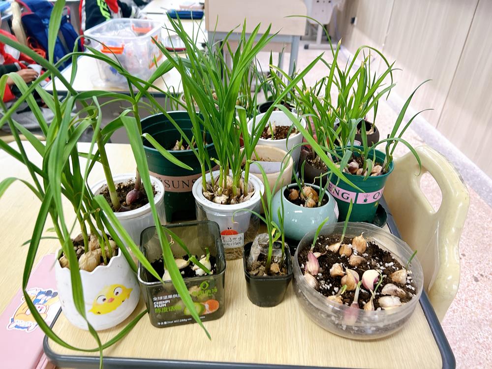 a031e08eecc647d292e968e3518704fe.jpg a031e08eecc647d292e968e3518704fe.jpg