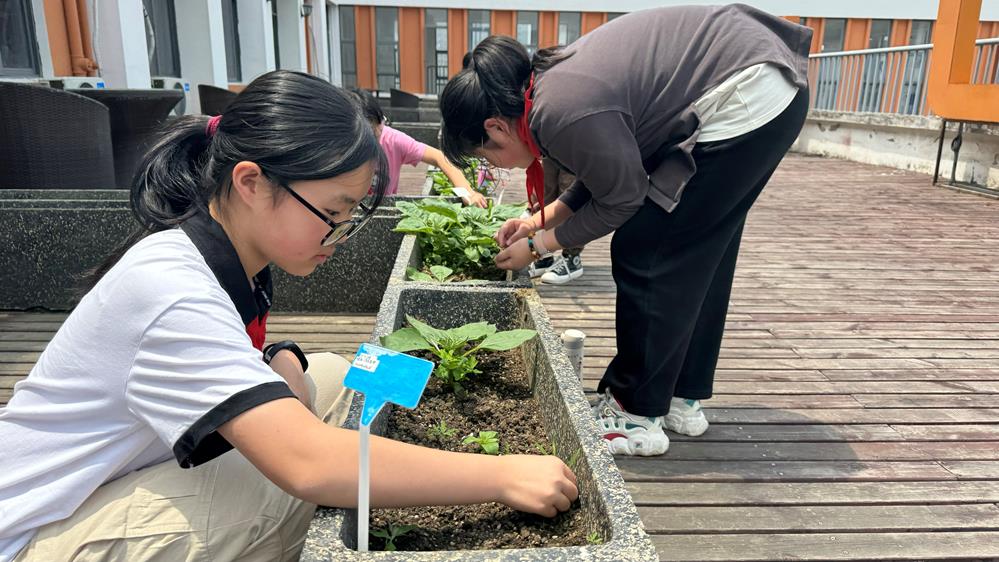 c7cc86a5c44945e6aba39bc94628b945.jpg c7cc86a5c44945e6aba39bc94628b945.jpg