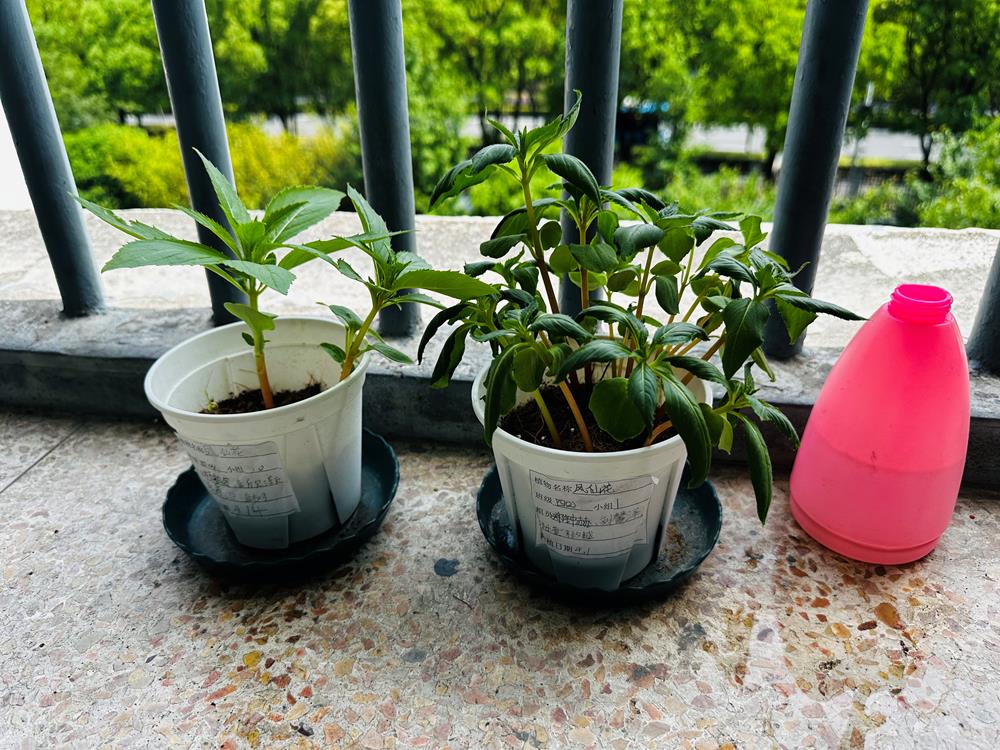 cc923b2e8b984963a59d566083a1d627.jpg cc923b2e8b984963a59d566083a1d627.jpg