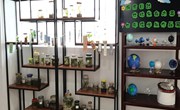 探索自然奥秘　 体味生命之美 ——记七年级生物、地理学科实践作业评比活动