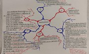 【独墅+】作业赋新能 增效拓视野——独墅湖学校初中部寒假学科作业展
