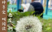 【小榉树·乐读之星】阳春三月，耕种书田 ——独墅湖学校小学部“年级之星”评比活动第五期