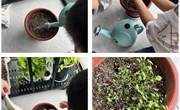 我与植物共成长