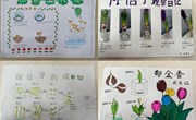 学科融合齐探索　多彩寒假谱新篇——中科大附中独墅湖学校小学部寒假特色实践活动展播（科信组篇）