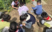 【独墅·劳动园】春耕润童心，劳动悟真知 ——中科大附中独墅湖学校“春耕节”劳动教育系列活动报道