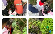小小建筑师的动物家园——中科大附中独墅湖学校一年级科学学科活动