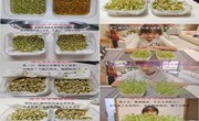 萌芽之旅：揭秘种子生长的奇幻旅程——中科大附中独墅湖学校七年级暑期生物项目化学习成果璀璨绽放